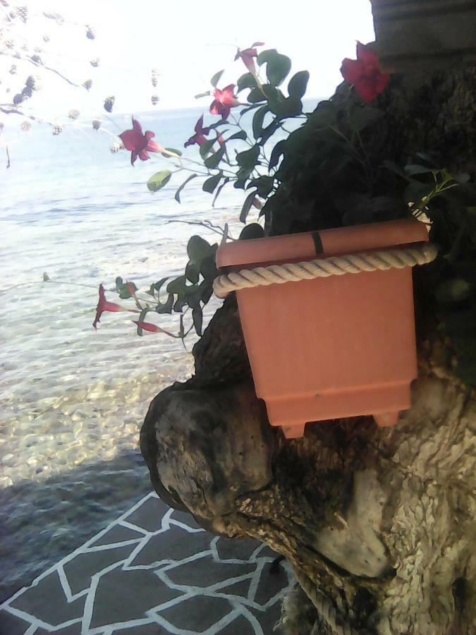 Agyrovoli Bungalow Skála Kallirákhis Exteriér fotografie